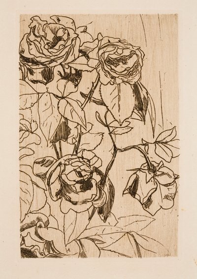 Study of Roses by Floris Verster
